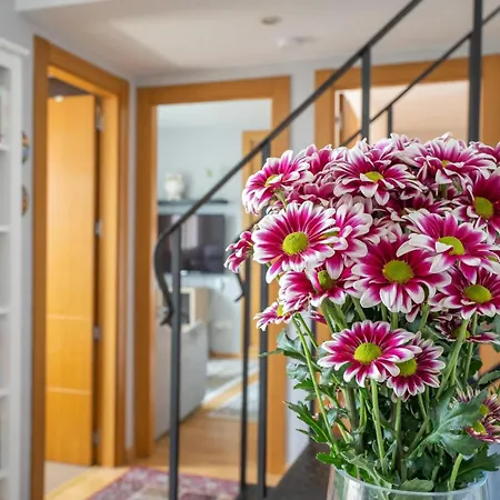 Del Parque Flats San Ignacio Penthouse
